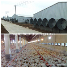 Steel Structure Broiler House Wth modern Production Poultry Equipment